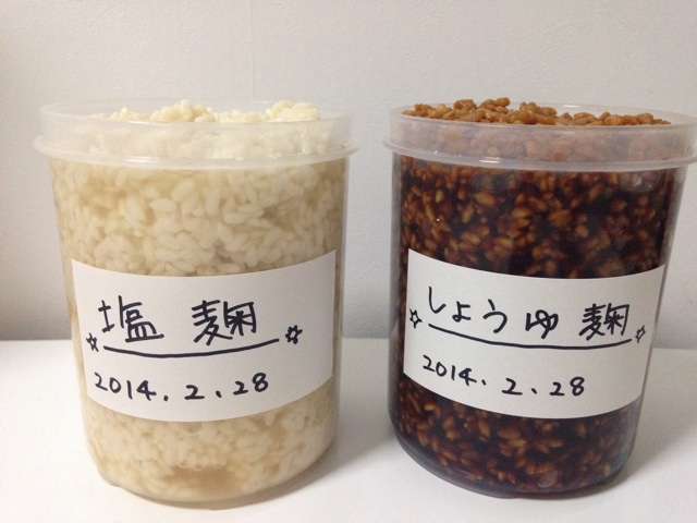 f:id:tomatodaze:20140301154505j:plain f:id:tomatodaze:20140301154505j:plain