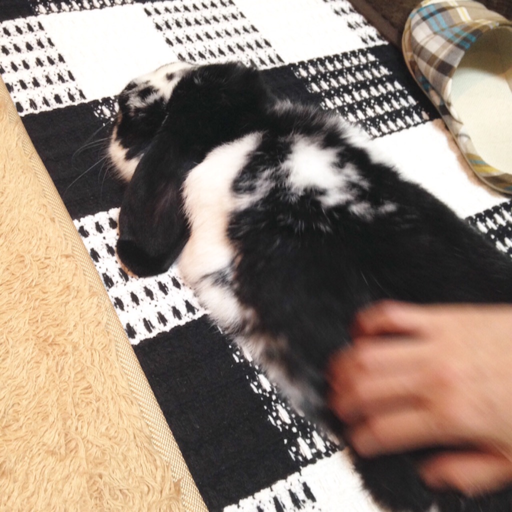 f:id:tombaby:20150814231947j:image