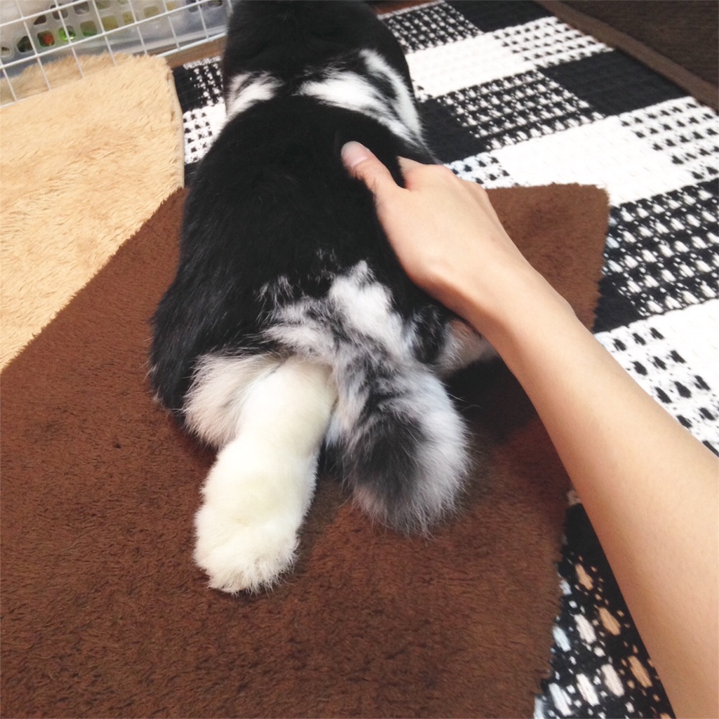 f:id:tombaby:20151114221722j:image