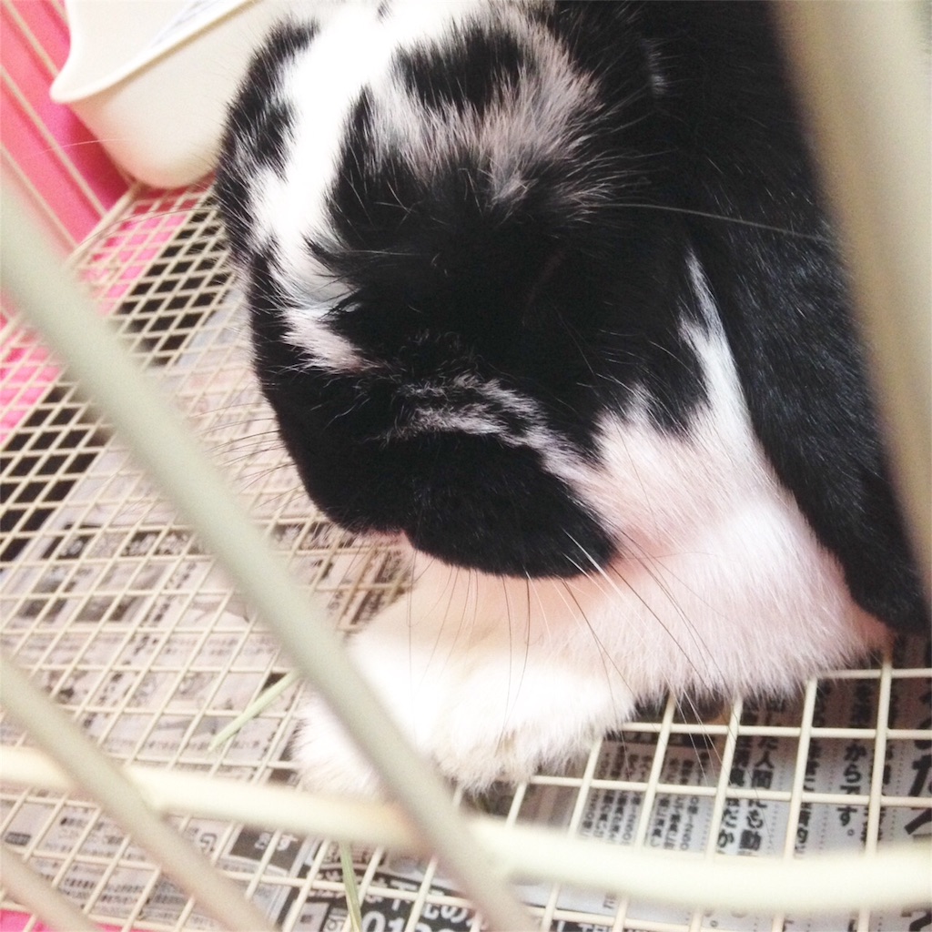 f:id:tombaby:20151122192937j:image f:id:tombaby:20151122192937j:image
