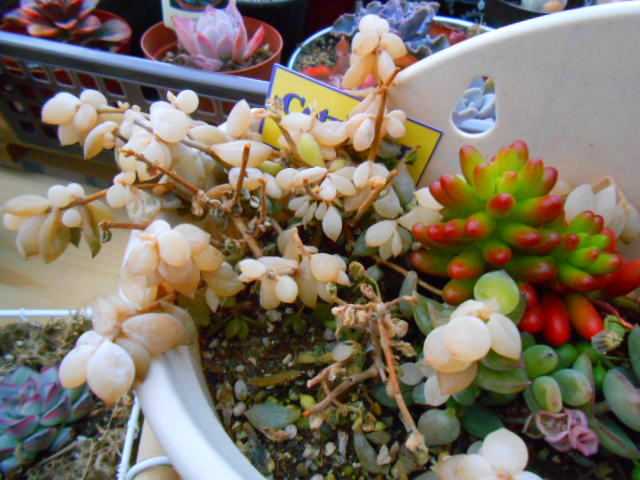 f:id:tome29:20150125195714j:plain f:id:tome29:20150125195714j:plain