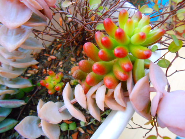 f:id:tome29:20150125195850j:plain f:id:tome29:20150125195850j:plain