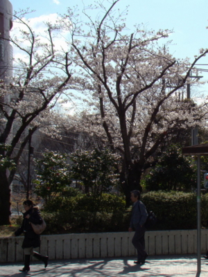 f:id:tomhoo:20100330084158j:image