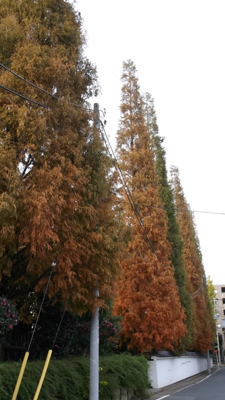 f:id:tomlin:20131128144020j:plain