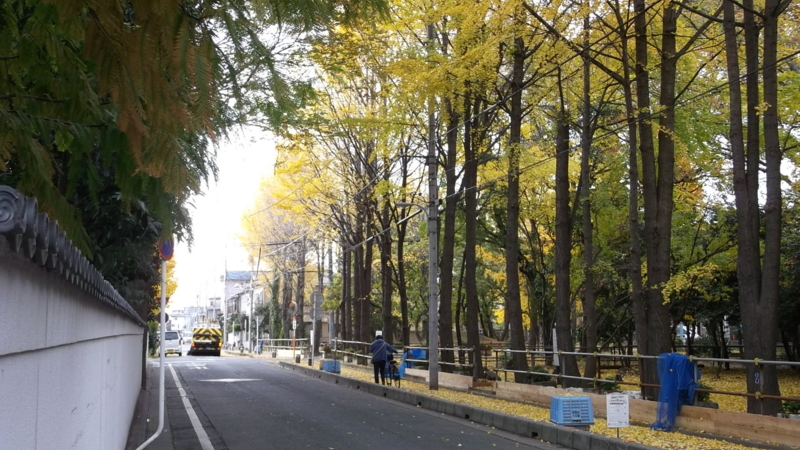 f:id:tomlin:20131128144219j:plain