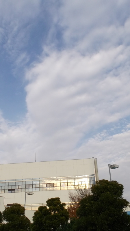 f:id:tomlin:20131128144749j:plain