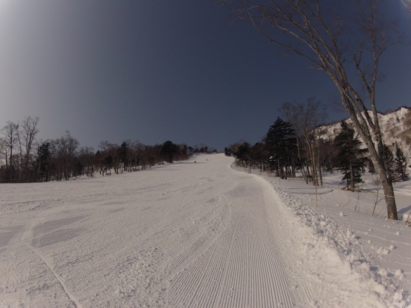 f:id:tomo_watanabe:20140201100208j:plain f:id:tomo_watanabe:20140201100208j:plain