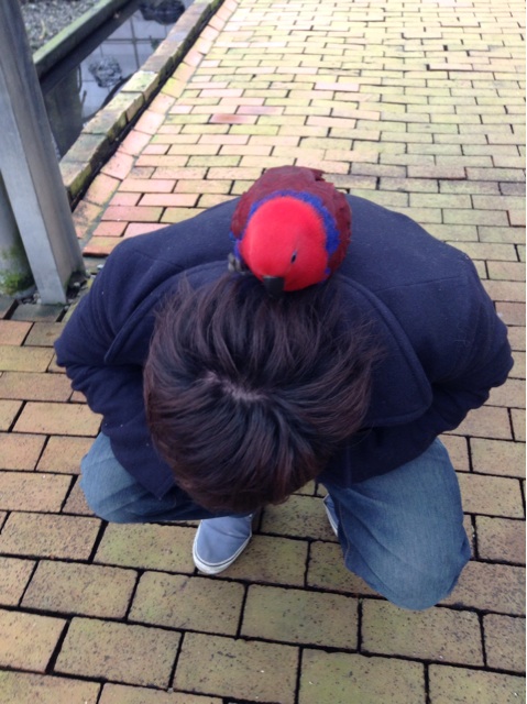 f:id:tomocyama678:20140126172902j:plain f:id:tomocyama678:20140126172902j:plain