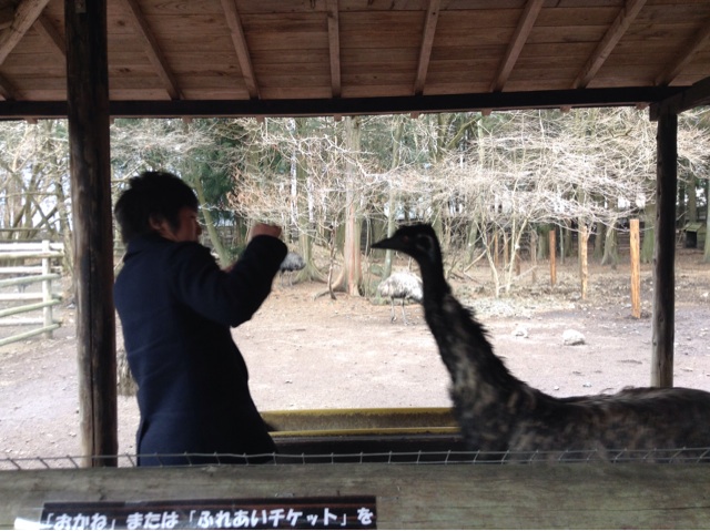 f:id:tomocyama678:20140126175944j:plain f:id:tomocyama678:20140126175944j:plain