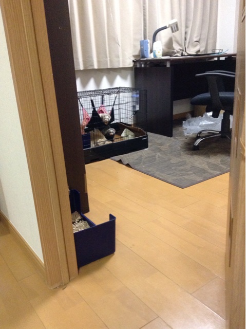 f:id:tomocyama678:20140201004314j:plain f:id:tomocyama678:20140201004314j:plain