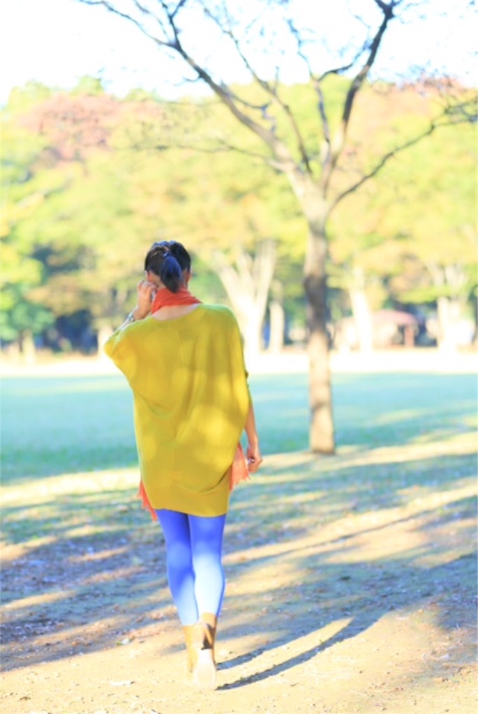 f:id:tomoe-miyase03:20151112230721j:image f:id:tomoe-miyase03:20151112230721j:image