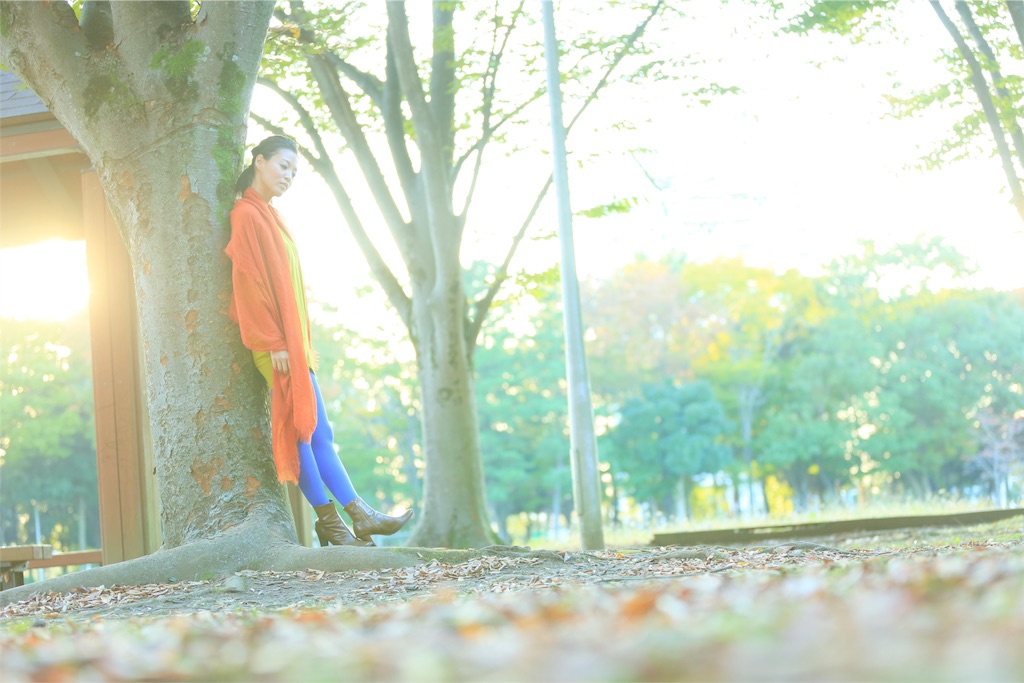 f:id:tomoe-miyase03:20151113000532j:image f:id:tomoe-miyase03:20151113000532j:image