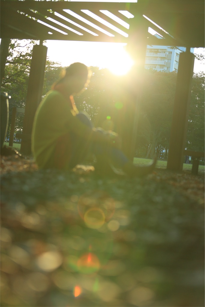 f:id:tomoe-miyase03:20151122233726j:image f:id:tomoe-miyase03:20151122233726j:image
