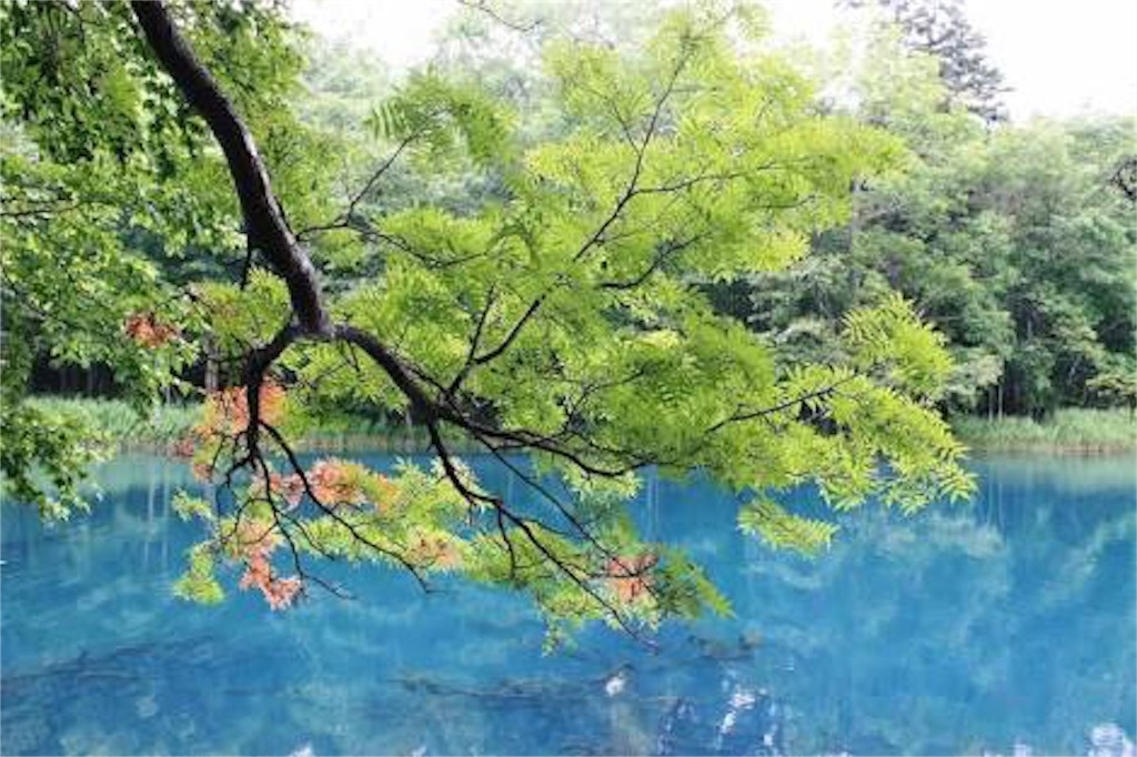 f:id:tomoe-miyase03:20151129224835j:image f:id:tomoe-miyase03:20151129224835j:image