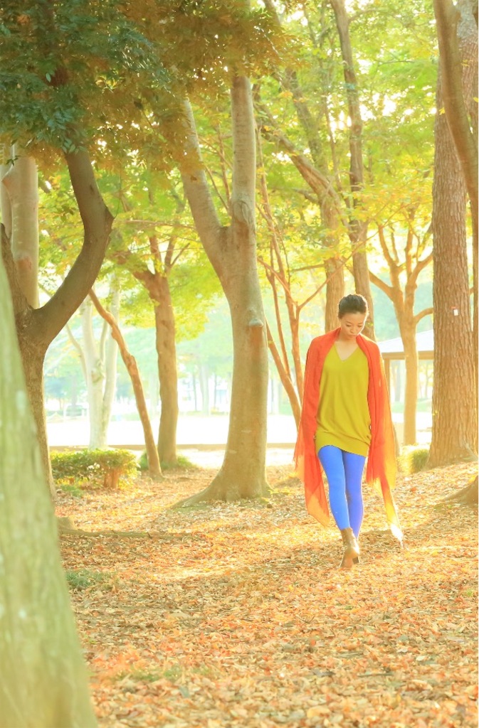 f:id:tomoe-miyase03:20151207112751j:image f:id:tomoe-miyase03:20151207112751j:image