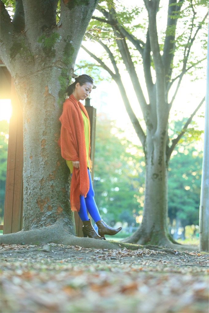 f:id:tomoe-miyase03:20151208092918j:image f:id:tomoe-miyase03:20151208092918j:image