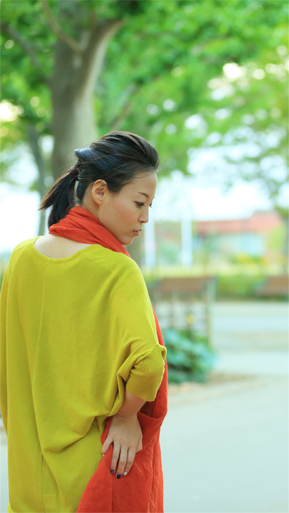f:id:tomoe-miyase03:20151217013705p:image f:id:tomoe-miyase03:20151217013705p:image