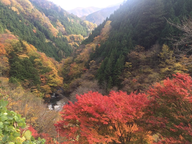 f:id:tomoguitar:20141108232444j:plain f:id:tomoguitar:20141108232444j:plain