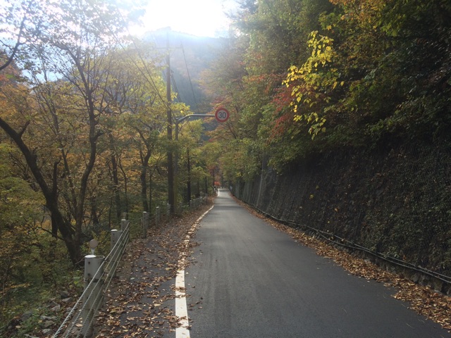 f:id:tomoguitar:20141108232541j:plain f:id:tomoguitar:20141108232541j:plain