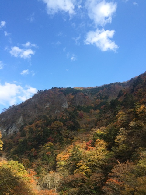 f:id:tomoguitar:20141108232602j:plain f:id:tomoguitar:20141108232602j:plain