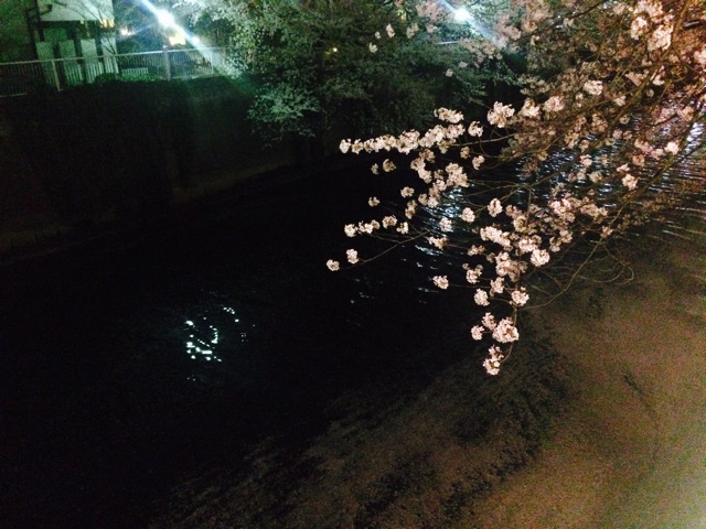 f:id:tomoguitar:20150403070320j:plain f:id:tomoguitar:20150403070320j:plain