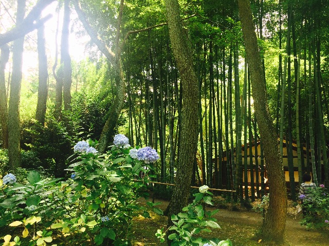 f:id:tomoguitar:20150713224237j:image f:id:tomoguitar:20150713224237j:image
