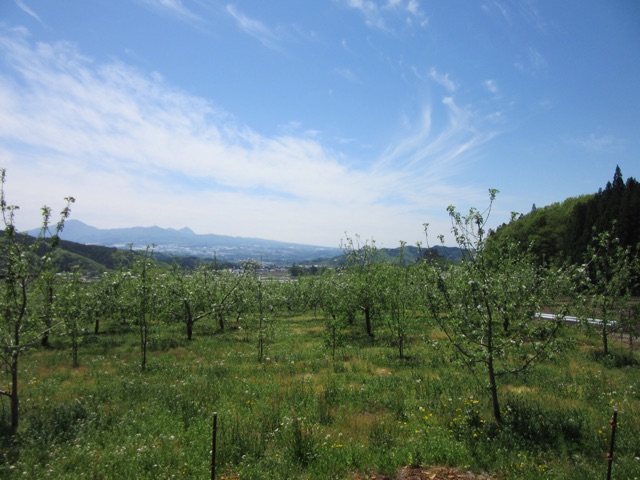 f:id:tomokotrip:20150506214313j:plain f:id:tomokotrip:20150506214313j:plain