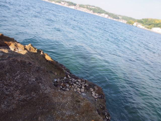 f:id:tomokotrip:20150614162356j:plain f:id:tomokotrip:20150614162356j:plain