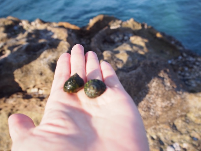 f:id:tomokotrip:20150614225611j:plain f:id:tomokotrip:20150614225611j:plain