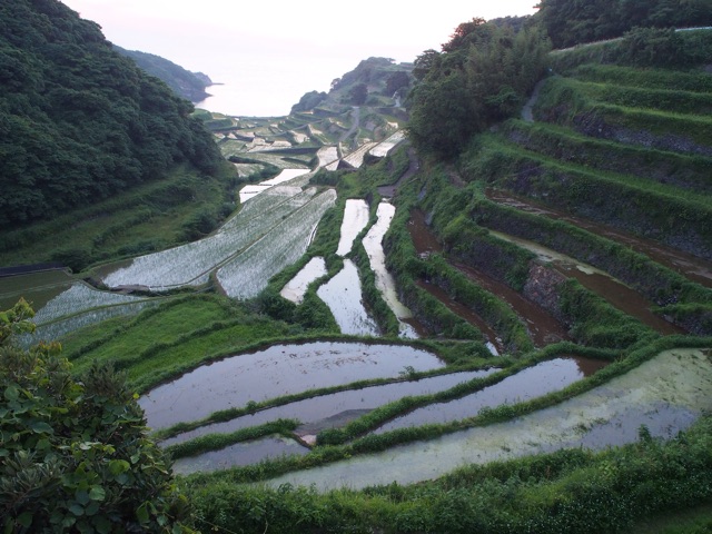 f:id:tomokotrip:20150614225708j:plain f:id:tomokotrip:20150614225708j:plain