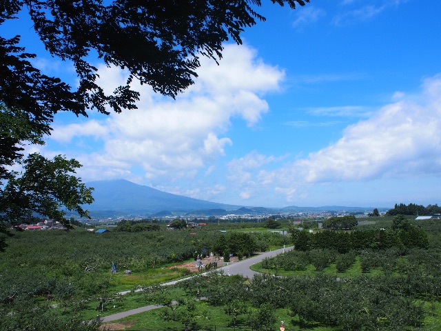 f:id:tomokotrip:20150803200056j:image f:id:tomokotrip:20150803200056j:image
