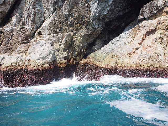 f:id:tomokotrip:20150816024129j:image f:id:tomokotrip:20150816024129j:image