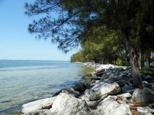 f:id:tomosaku:20100502171322j:image f:id:tomosaku:20100502171322j:image