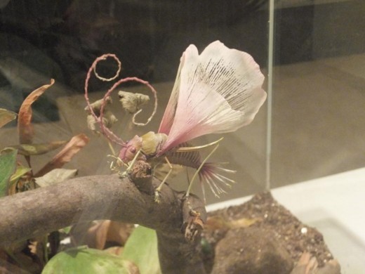 f:id:tomosaku:20120907104508j:image f:id:tomosaku:20120907104508j:image