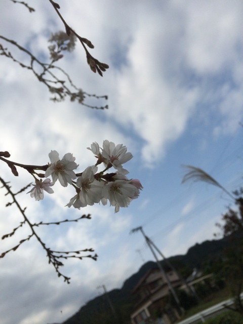 f:id:tomotaka129:20151030020447j:plain f:id:tomotaka129:20151030020447j:plain