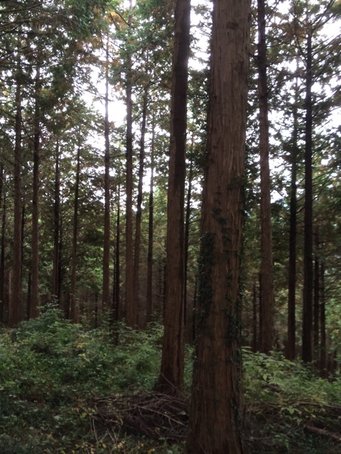 f:id:tomotaka129:20151030020730j:plain f:id:tomotaka129:20151030020730j:plain