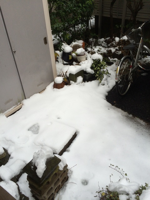 f:id:tomotaka129:20160118235707j:plain f:id:tomotaka129:20160118235707j:plain