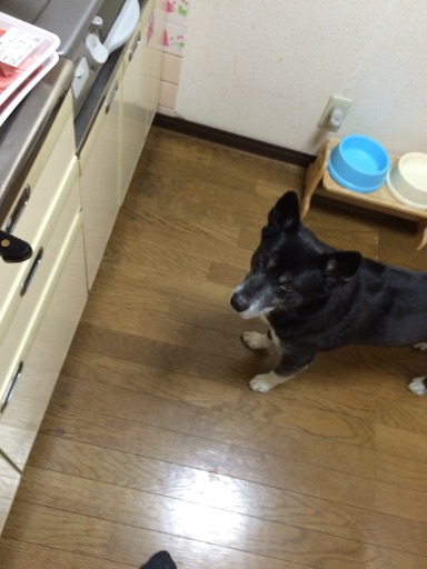 f:id:tomotruth:20151209113717j:image f:id:tomotruth:20151209113717j:image