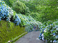 f:id:tomshannon:20160605131621g:plain f:id:tomshannon:20160605131621g:plain