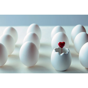 f:id:tongarashi:20151215123239j:plain