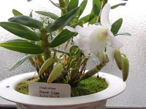 f:id:tongarashi:20151223162858j:plain f:id:tongarashi:20151223162858j:plain