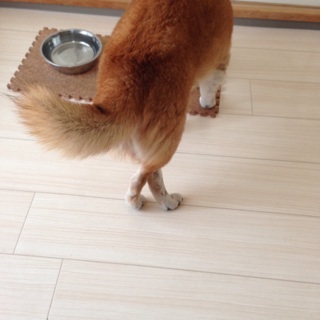f:id:tontont:20140211205242j:plain f:id:tontont:20140211205242j:plain