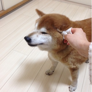 f:id:tontont:20140214002231j:plain f:id:tontont:20140214002231j:plain