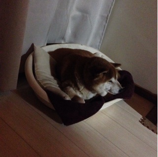 f:id:tontont:20140215004124j:plain f:id:tontont:20140215004124j:plain