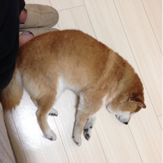 f:id:tontont:20140223223618j:plain f:id:tontont:20140223223618j:plain