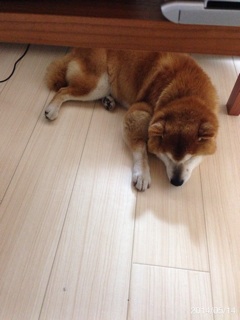 f:id:tontont:20140518192142j:plain f:id:tontont:20140518192142j:plain