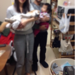 f:id:tontont:20150105184004j:plain f:id:tontont:20150105184004j:plain