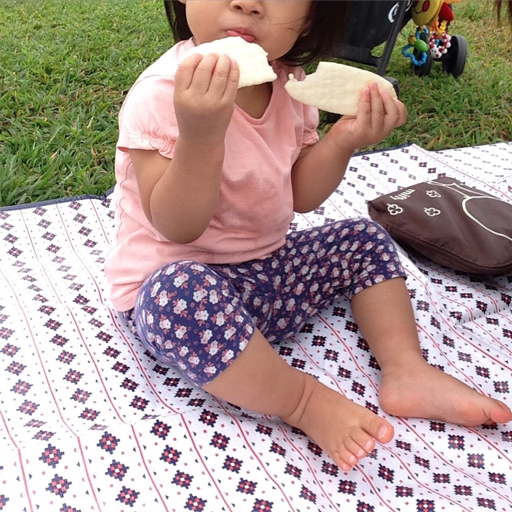 f:id:tontont:20150922055035j:image f:id:tontont:20150922055035j:image