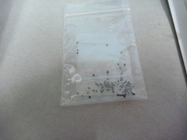 f:id:torakichi7:20120928151303j:image:w360 f:id:torakichi7:20120928151303j:image:w360