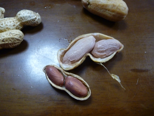 f:id:torakichi7:20121017204610j:image f:id:torakichi7:20121017204610j:image